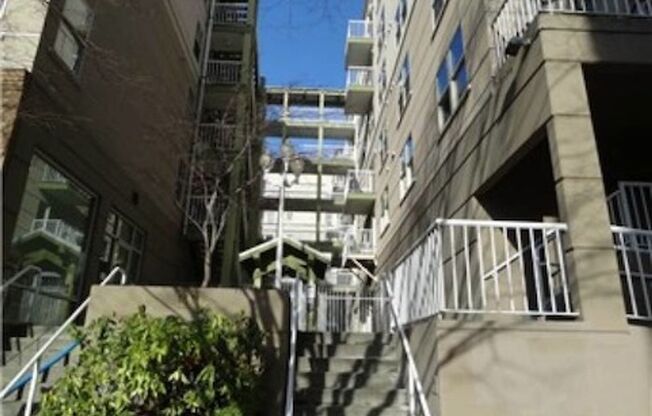 1 Bed 1 Bath Condo in Capitol Hill
