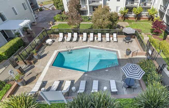 an aerial view of a pool with chairs and umbrellas at Delphine on Diamond, San Francisco, California