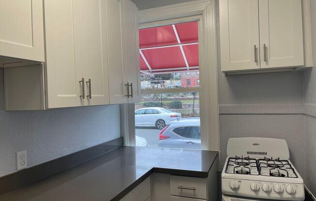 Studio, 1 bath, 315 sqft, $1,250, Unit 103