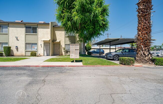 Chester Apartment Homes