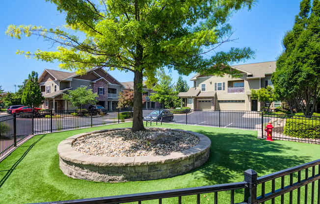 A tree in a circle of rocks is in the foreground of a residential area.