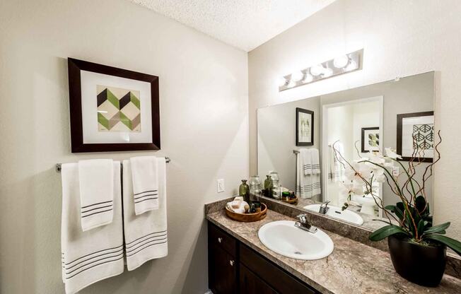 bathroom counter with soaps, towels, and sink