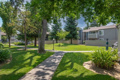 A sidewalk between apartment building with trees and grass and pet station