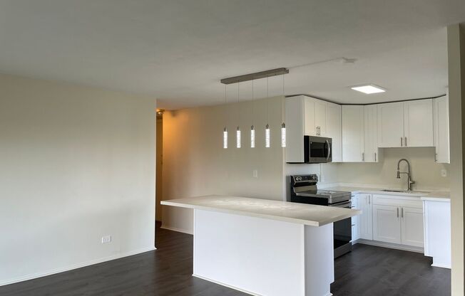 Beautifully and Completely Renovated End Unit w/Treetop, Downtown Views.