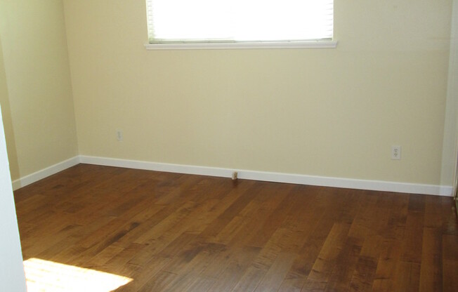 Newly Updated Home in Clairemont