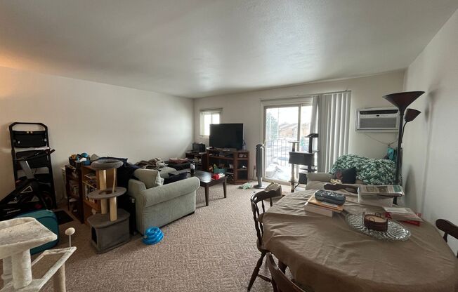 1 bed, 1 bath, $995, Unit 206