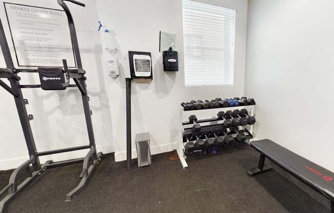 A gym with a treadmill, weights, and a bench.