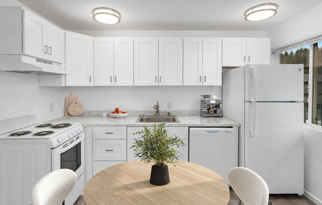 Kitchen (Deluxe Renovated Home)