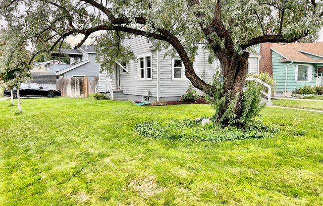 Audubon Park Rental!