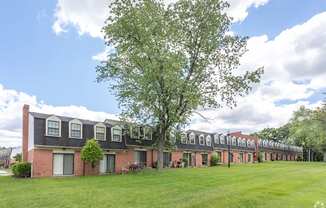 A large tree is in front of a building with a lawn in front of it.