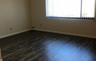 Studio, 1 bath, 415 sqft, $1,095, Unit 310