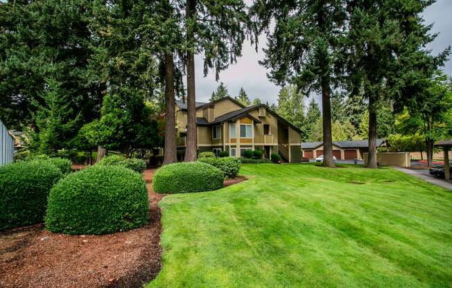 Beautiful Forest Setting at Apartments Near Vancouver Mall