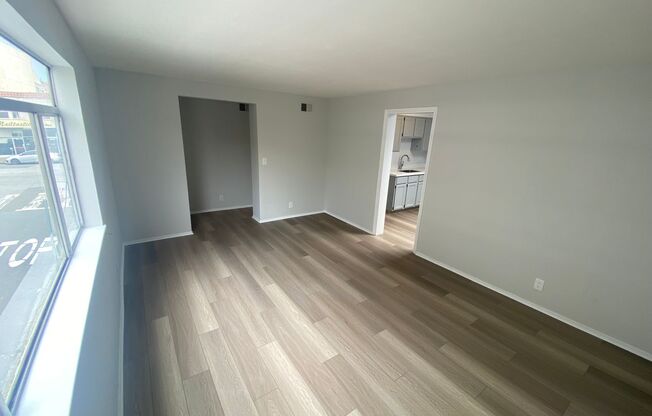RC- 7 Leo Street, San Francisco, CA 94112