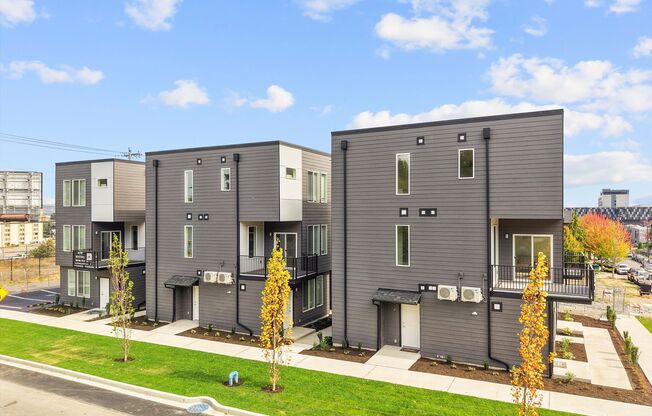 Brand New Construction 1 bed 1 Bath Available For Rent