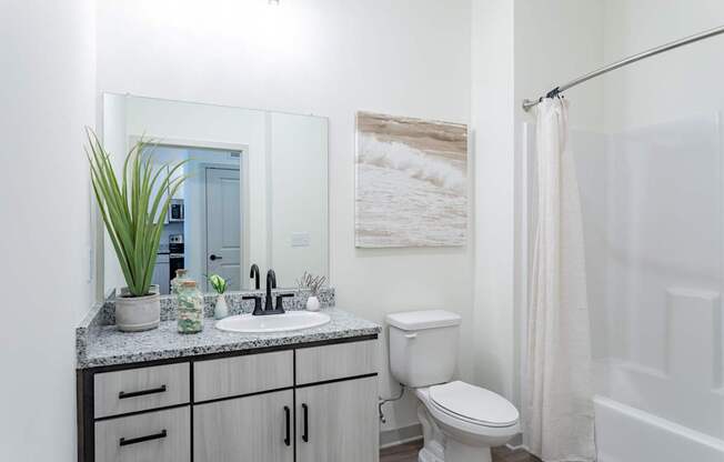 A white toilet sits next to a sink in a bathroom.
