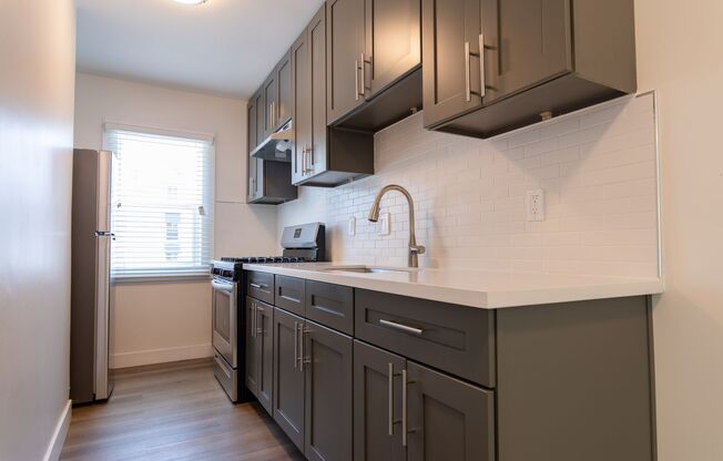 Newly Renovated Apartments