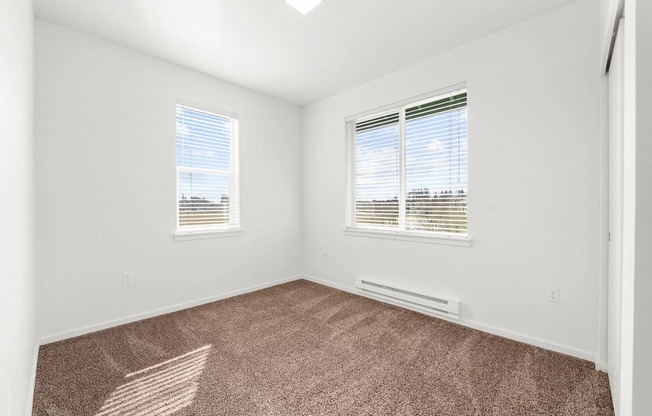 a bedroom with two windows and a carpeted floor