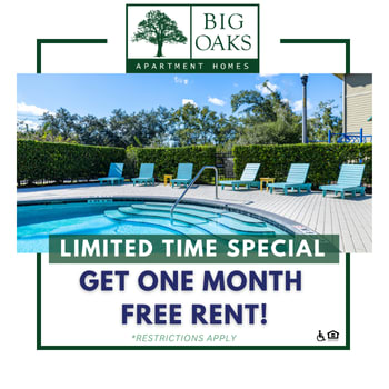 A pool surrounded by lounge chairs is part of a limited time special offer for free rent at Big Oaks Apartment Homes.