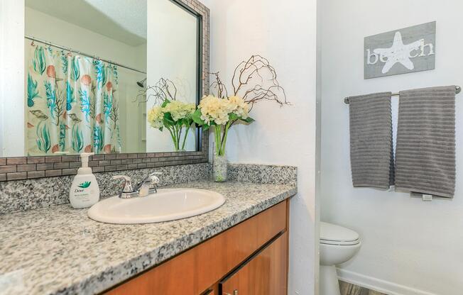 2 beds, 2 baths, 850 sqft, $1,179