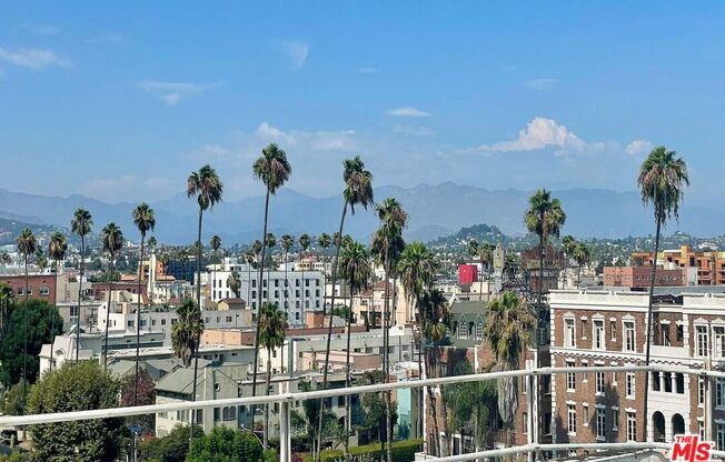 Studio, 1 bath, 600 sqft, $1,699, Unit 708