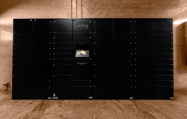 the lockers in the lobby of the building are black