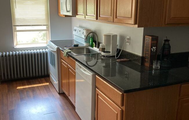 1 bed, 1 bath, $1,050, Unit #203 (6)