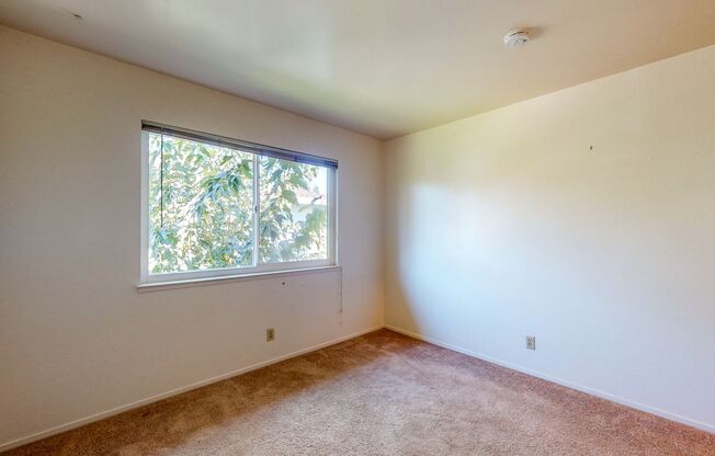 2 beds, 1 bath, $2,300