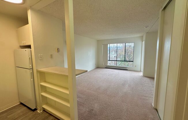 Studio, 1 bath, $1,995