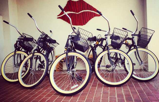 Winfield bikes
