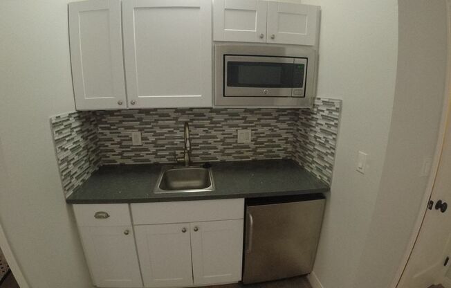 Studio, 1 bath, 220 sqft, $1,245, Unit 102