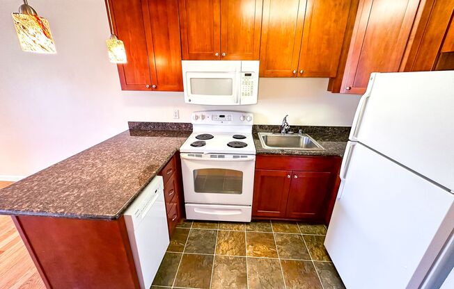 1 bed, 1 bath, 455 sqft, $1,650, Unit 105