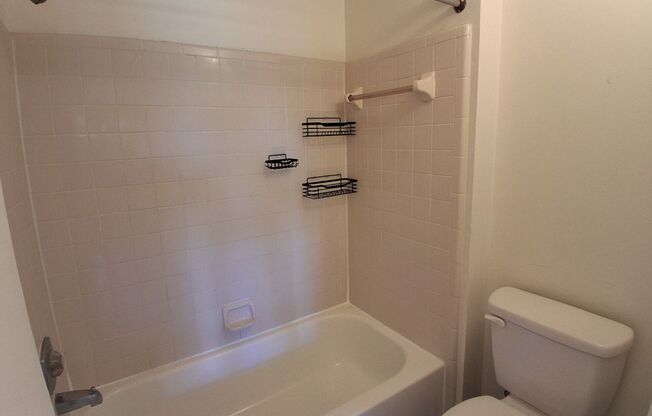 1 bed, 1 bath, $1,300, Unit Apt 11206