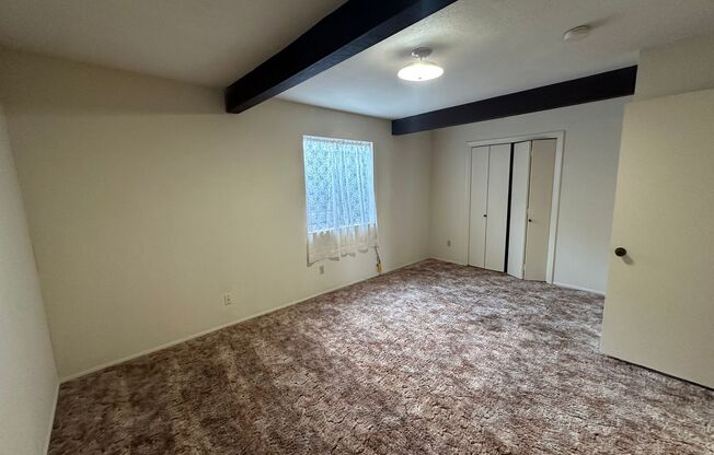 1 bed, 1 bath, 600 sqft, $950