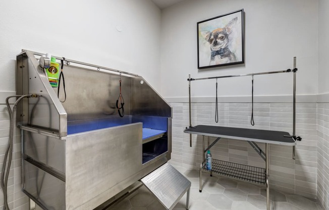 a patient exam room with a exam table and a painting of a dog on the wall