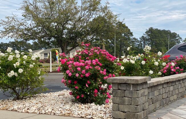 2 beds, 2 baths, $1,395, Unit 3703-F