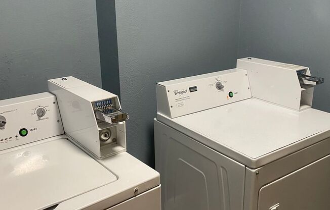Studio, 1 bath, 462 sqft, $1,250, Unit 305