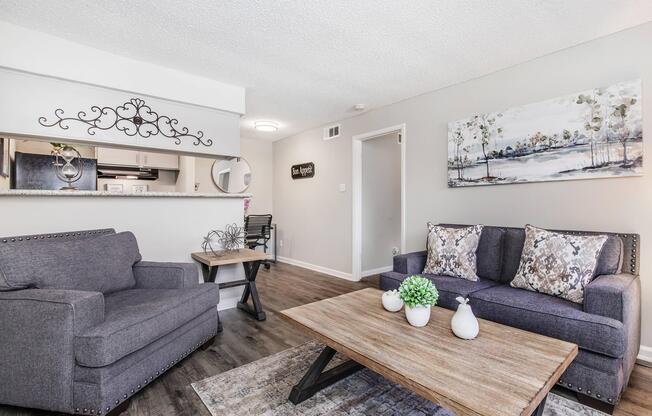 1 bed, 1 bath, 504 sqft, $919