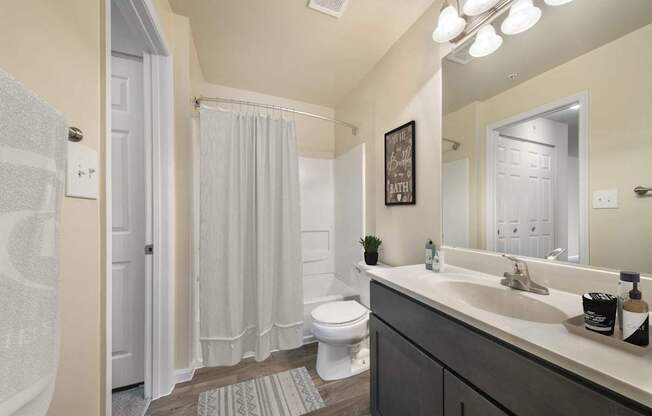 Bathroom at The Apartments at Owings Run, Owings Mills