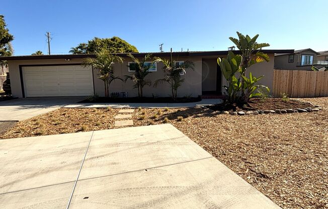 One of a Kind Encinitas Home-Just in Time for the New Year!