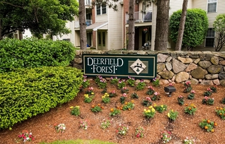 6 Walden Dr