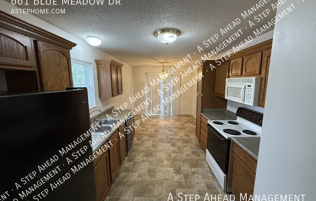 661 BLUE MDW DR
