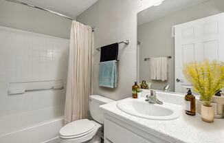 a bathroom with a sink and a toilet and a shower