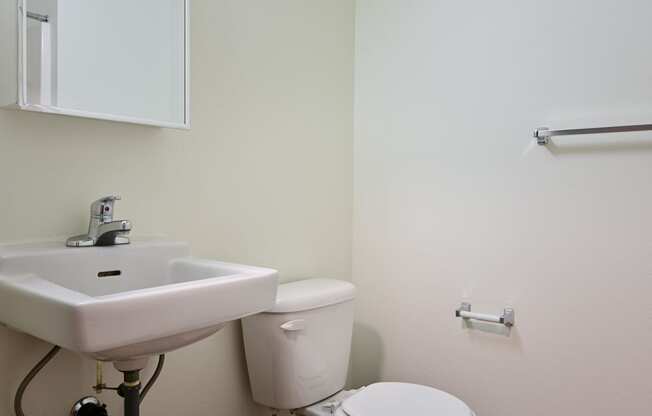 a bathroom with a sink toilet and mirror