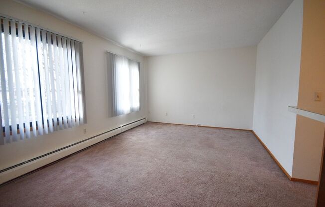 Studio, 1 bath, 400 sqft, $899, Unit 303