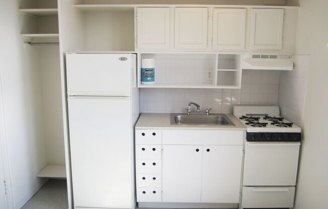 Studio, 1 bath, 233 sqft, $1,100, Unit 707