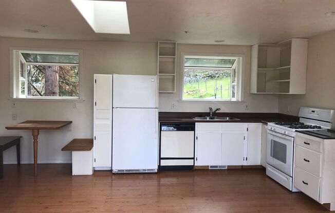 1 bed, 1 bath, $1,600