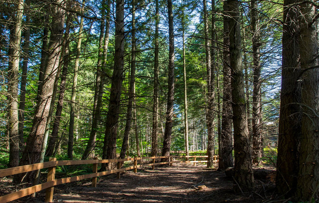 Nature Trail