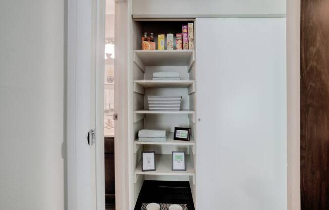 Pantry/Linen Closet