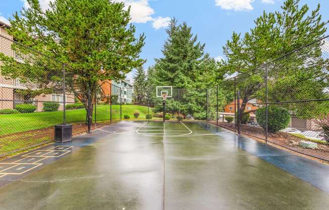 A basketball court surrounded by trees and a fence.