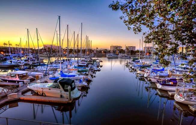 a group of boats docked in a harbor at sunset